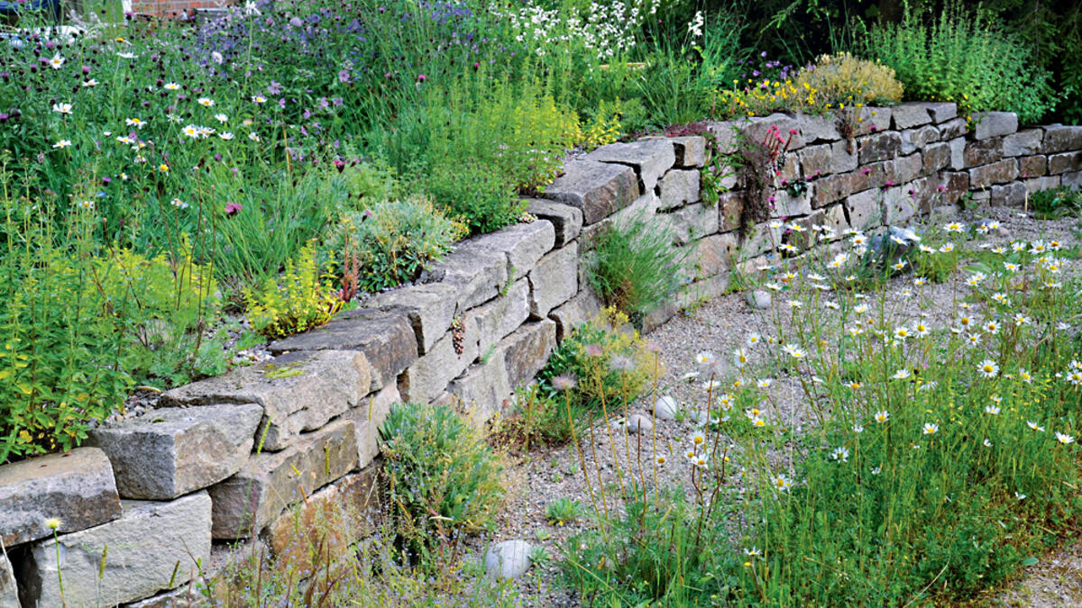 Naturgarten