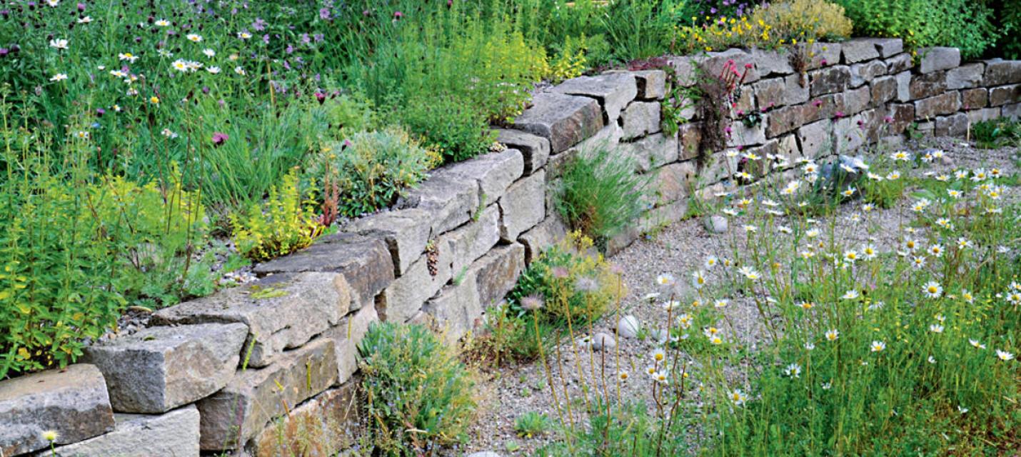 Naturgarten